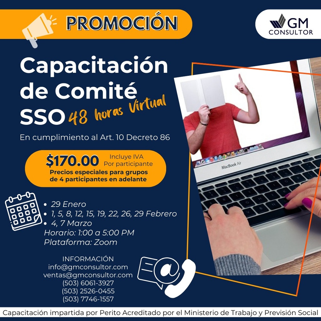 Capacitación Comité de SSO 48 horas - Virtual