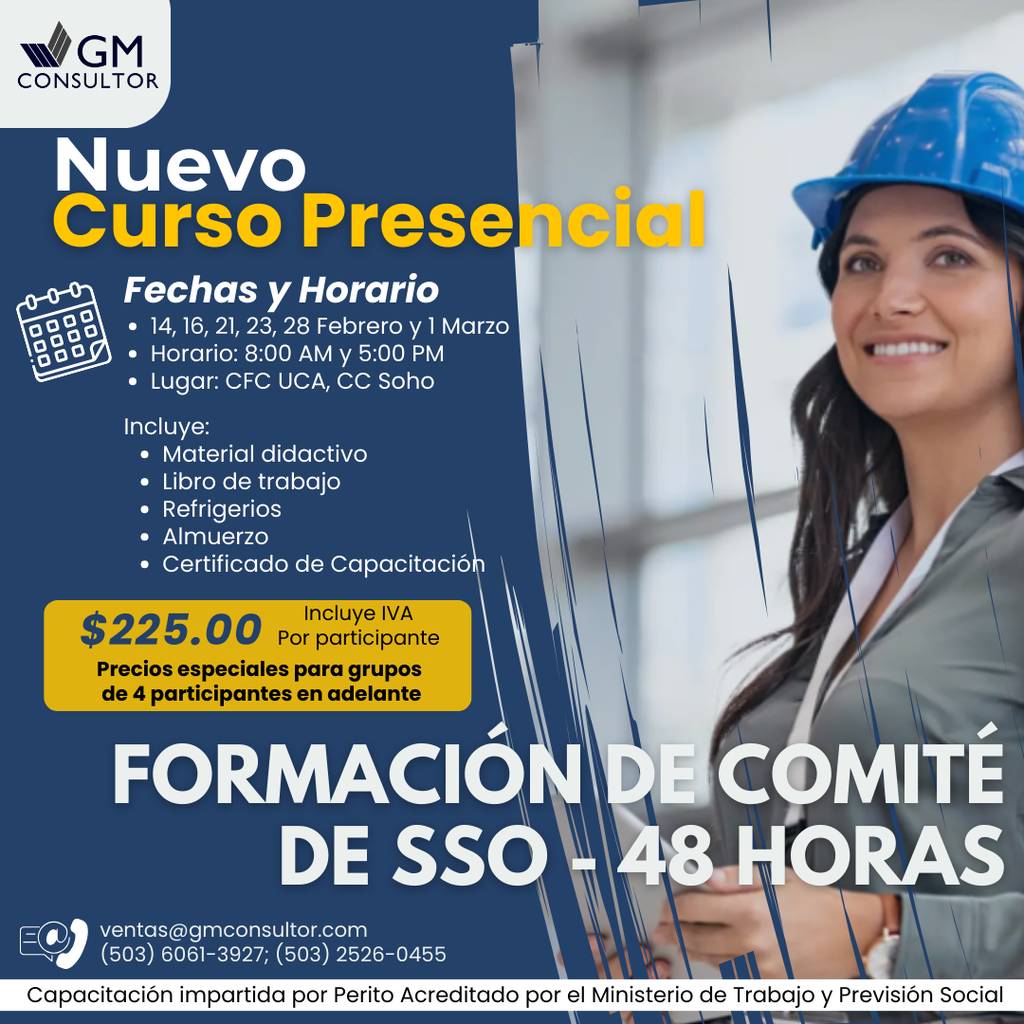 Capacitación Comité de SSO 48 horas - Presencial